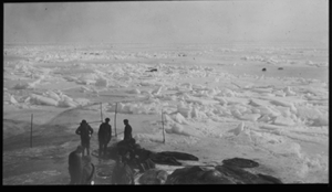 Image of Seven sealers, dead seals, poles upright on ice